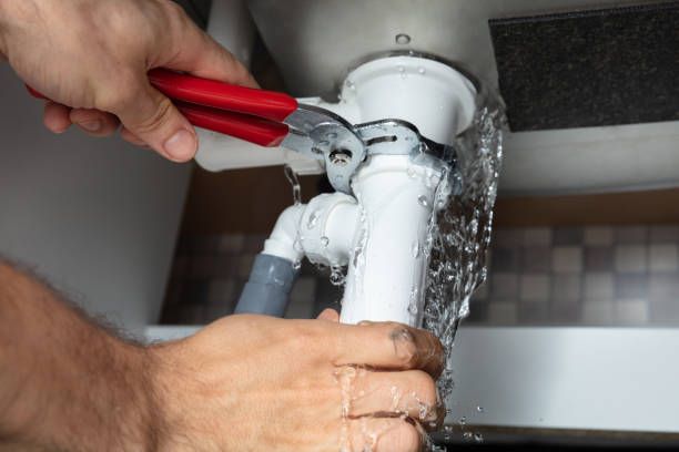Best Water damage restoration mold remediation  in Pass Christian, MS