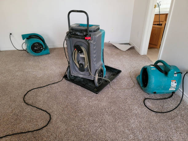 Best Water damage restoration company  in Pass Christian, MS