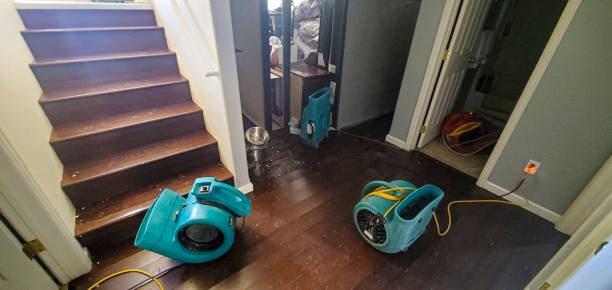 Water damage restoration mold remediation in Pass Christian, MS