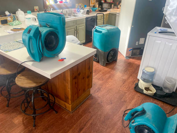 Best Commercial water damage restoration  in Pass Christian, MS