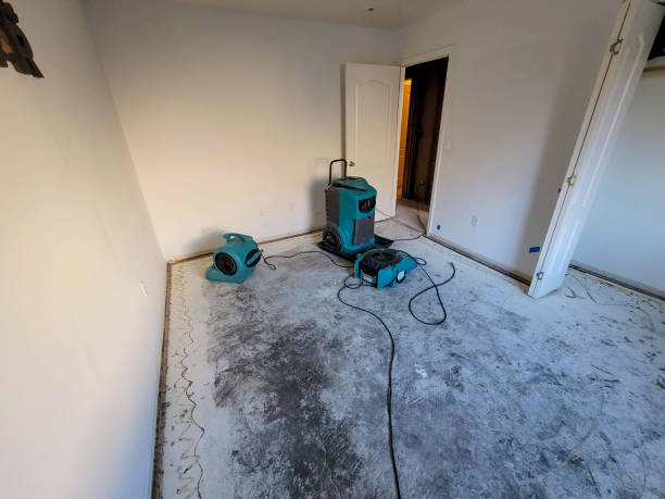 Best Carpet water damage restoration  in Pass Christian, MS