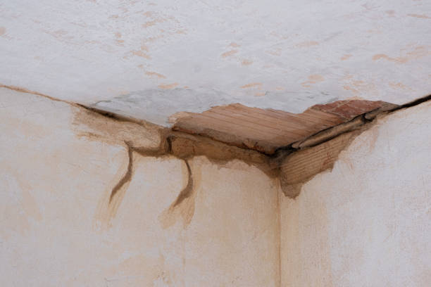 Best Water damage restoration near me  in Pass Christian, MS