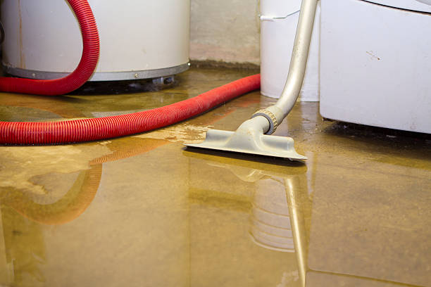 Best Water damage restoration company  in Pass Christian, MS