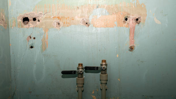 Best Water damage restoration near me  in Pass Christian, MS