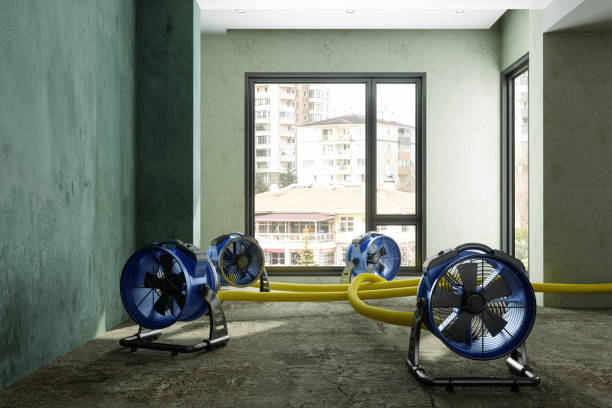 Best 24/7 water damage repair  in Pass Christian, MS